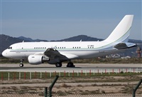 Miguel Alia - Noisy Spotters. Click to see full size photo
