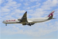 Miguel A. gueda Rguez.  (CANARY ISLANDS SPOTTING). Click to see full size photo