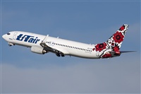 Miguel Alia - Noisy Spotters. Click to see full size photo