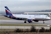 Rubn Gil - Noisy Spotters. Click to see full size photo