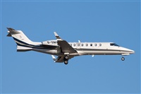 Miguel Alia - Noisy Spotters. Click to see full size photo