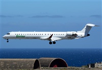 ©Alejandro H.L - Gran Canaria Spotters. Click to see full size photo ©Alejandro H.L - Gran Canaria Spotters. Click to see full size photo