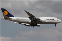 Rubn Gil - Noisy Spotters. Click to see full size photo