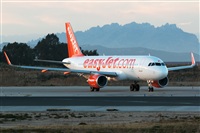 Miguel Alia - Noisy Spotters. Click to see full size photo