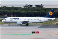 Miguel Alia - Noisy Spotters. Click to see full size photo