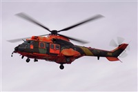 Fco Javier Garca Ruiz. Click to see full size photo