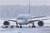 Javier de la Cruz - CANARY ISLANDS SPOTTING. Click to see full size photo