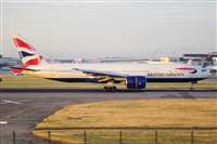 Miguel A. gueda Rguez.  (CANARY ISLANDS SPOTTING). Click to see full size photo