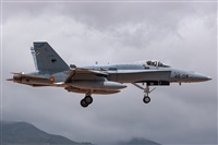 Bartolom Fernndez - Gran Canaria Spotters. Click to see full size photo