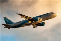 Javier de la Cruz - CANARY ISLANDS SPOTTING. Click to see full size photo
