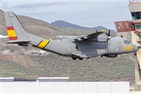 Paco Muoz Arencibia - Gran Canaria Spotters. Click to see full size photo