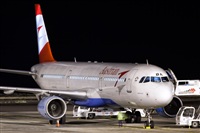 Javier de la Cruz - CANARY ISLANDS SPOTTING. Click to see full size photo