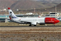 Alfonso Sols - Asociacin Canary Islands Spotting. Haz click para ampliar