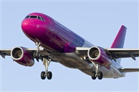 Saimon J Rodriguez   -   Canary Islands Spotting. Click to see full size photo