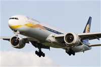 Rubn Gil - Noisy Spotters. Click to see full size photo