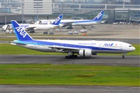 Miguel A. gueda Rguez.  (CANARY ISLANDS SPOTTING). Haz click para ampliar