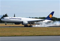 Alejandro H.L - Gran Canaria Spotters. Click to see full size photo