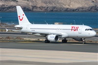 ©Adolfo Bento - Gran Canaria Spotters. Click to see full size photo ©Adolfo Bento - Gran Canaria Spotters. Click to see full size photo
