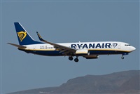 ©J. Victor Vega-Gran Canaria Spotters. Click to see full size photo ©J. Victor Vega-Gran Canaria Spotters. Click to see full size photo