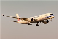 Javier de la Cruz - CANARY ISLANDS SPOTTING. Click to see full size photo