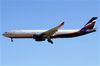 Alfonso Sols - Asociacin Canary Islands Spotting. Haz click para ampliar