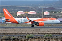 Miguel A. gueda Rguez.  (CANARY ISLANDS SPOTTING). Click to see full size photo