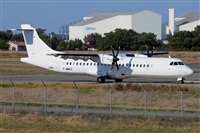 Miguel A. gueda Rguez.  (CANARY ISLANDS SPOTTING). Click to see full size photo