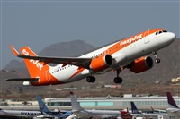 Alfonso Sols - Asociacin Canary Islands Spotting. Haz click para ampliar