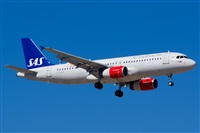 Saimon J Rodriguez   -   Canary Islands Spotting. Click to see full size photo