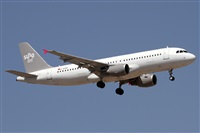 ©Alfonso Solís - Asociación Canary Islands Spotting. Click to see full size photo ©Alfonso Solís - Asociación Canary Islands Spotting. Click to see full size photo