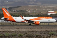 Alfonso Sols - Asociacin Canary Islands Spotting. Haz click para ampliar