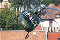 Tams. Click to see full size photo
