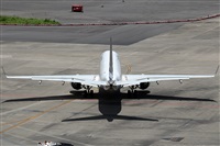 La Roche Spotters. Click to see full size photo