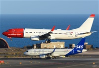 Alejandro H.L - Gran Canaria Spotters. Click to see full size photo