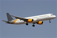©Alfonso Solís - Asociación Canary Islands Spotting. Click to see full size photo ©Alfonso Solís - Asociación Canary Islands Spotting. Click to see full size photo