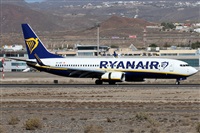 Alfonso Sols - Asociacin Canary Islands Spotting. Click to see full size photo