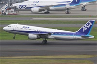 Rubn Gil - Noisy Spotters. Click to see full size photo