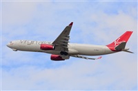 Miguel A. gueda Rguez.  (CANARY ISLANDS SPOTTING). Click to see full size photo
