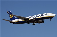 ©Alfonso Solís - Asociación Canary Islands Spotting. Click to see full size photo ©Alfonso Solís - Asociación Canary Islands Spotting. Click to see full size photo