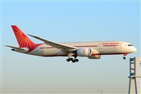 Miguel A. gueda Rguez.  (CANARY ISLANDS SPOTTING). Click to see full size photo