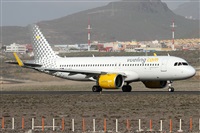 ©Alfonso Solís - Asociación Canary Islands Spotting. Click to see full size photo ©Alfonso Solís - Asociación Canary Islands Spotting. Click to see full size photo