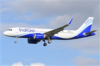 Miguel A. gueda Rguez.  (CANARY ISLANDS SPOTTING). Click to see full size photo