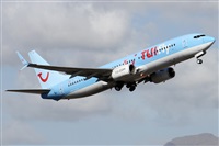 ©Alfonso Solís - Asociación Canary Islands Spotting. Click to see full size photo ©Alfonso Solís - Asociación Canary Islands Spotting. Click to see full size photo