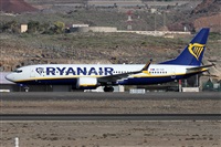 Alfonso Sols - Asociacin Canary Islands Spotting. Click to see full size photo