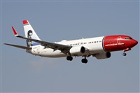 Alfonso Sols - Asociacin Canary Islands Spotting. Click to see full size photo