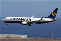 Alfonso Sols - Asociacin Canary Islands Spotting. Click to see full size photo