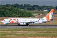 Fabio Duarte - Manaus Spotting Team. Click to see full size photo