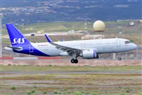 Miguel A. gueda Rguez.  (CANARY ISLANDS SPOTTING). Haz click para ampliar
