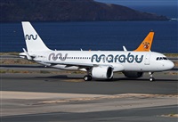 Alejandro H.L - Gran Canaria Spotters. Click to see full size photo