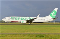 Miguel A. gueda Rguez.  (CANARY ISLANDS SPOTTING). Click to see full size photo